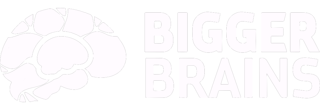 Mediamodifier-Design-Template-1